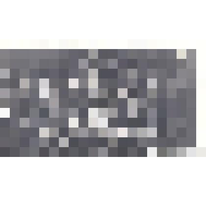 Фотография: встреча монгольской молодежи, прибывшей на учебу в профессионально-техническое училище №19 г.Камня-на-Оби Алтайского края