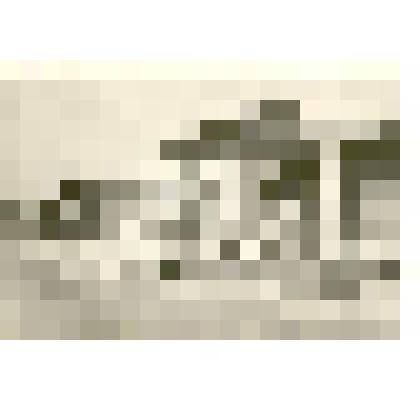 Фотография: строительство пищекомбината г.Камень-на-Оби Алтайского края