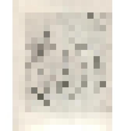 Фотокопия  с автографа поэмы "Тамбовская казначейша"