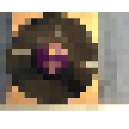 Грампластинка. Речь тов. И.В. Сталина на предвыборном собрании избирателей. В - 7, 8