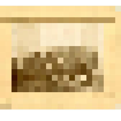 Групповой снимок. Чиновники Якутского областного правления с губернатором Булатовым Виктором Николаевичем.1907 г