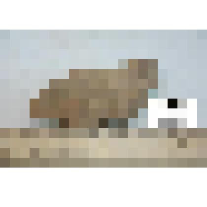 Фрагмент стенки сосуда