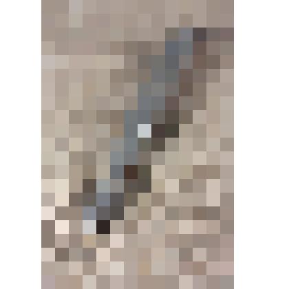 Токоискатель - инструмент радиомеханика СОРТПЦ, из коллекции материалов Давыдова Леонида Николаевича, старшего инженера Саратовского областного радиотелевизионного передающего центра