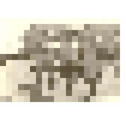 Фотография: выступление учащихся школы №2 на демонстрации 1 мая 1960 года в г.Камне-на-Оби