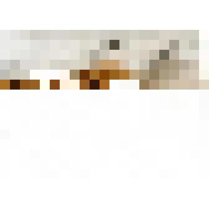 Рисунок. Из серии "Северные цикады". Лист 9