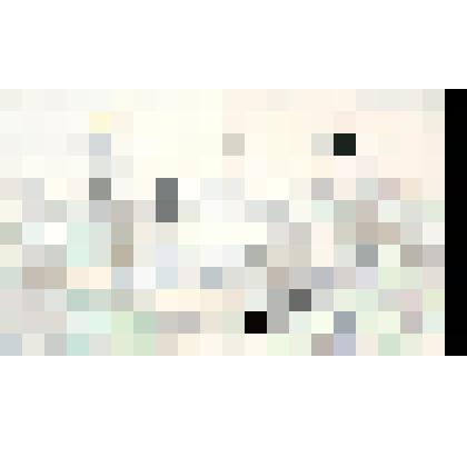 Церковь Покров Богородицы. Погост