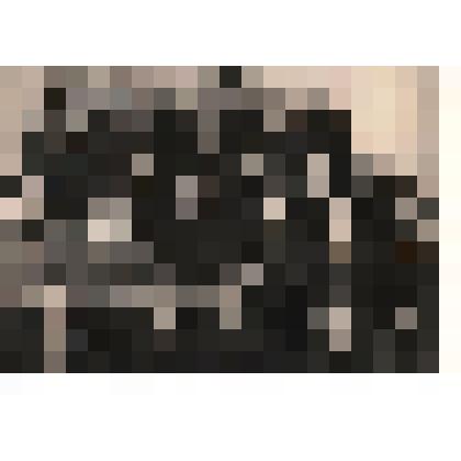 Фотография директоров сельских школ Боготольского района