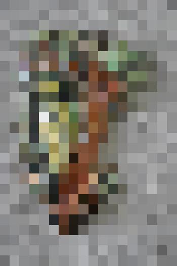 Декоративное настенное панно "Дятел на дереве"