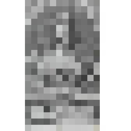 Портрет королевы Анны