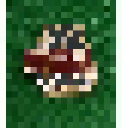 Значок "Норильск. Рудник "Медвежий ручей 25"