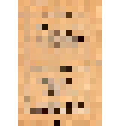 Программа концерта хора имени I Всесоюзной Олимпиады Самодеятельного Искусства (Немхор Совпрофа при ДИСКе) под управлением С.Е.Максимова