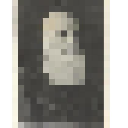 Фотография Иван Михайлович Мызгин 1938 г