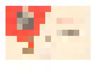 Свидетельство. Выпускница Тюменцевской средней школы Жихарева Людмила занесена в Книгу Почёта за достигнутые успехи в учёбе. 30 мая 1974 г