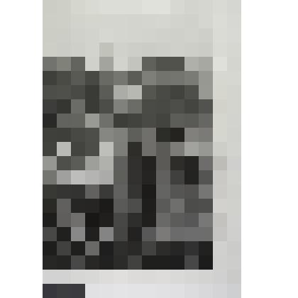 Групповой портрет