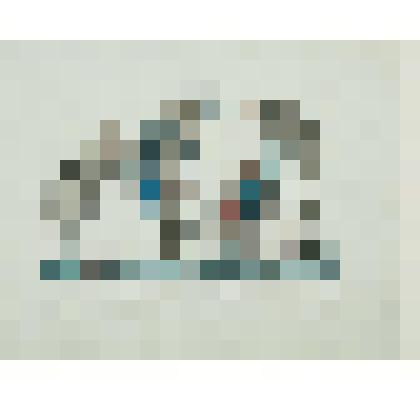 Гравюра. Нос, привезенный Наполеоном из России в Париж