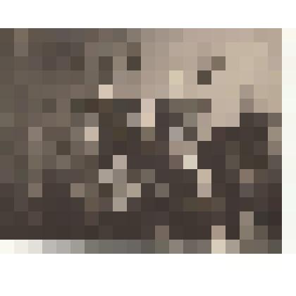 Фотография. Кассиль Л.А., Ильинский И., неизвестные военные и девушки