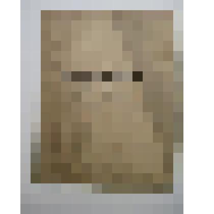 Выпись из метрической книги. Часть первая о родившихся за 1919 год, выданная Причту Покровской Единоверческой церкви села М.Мурашкино Княгининского уезда