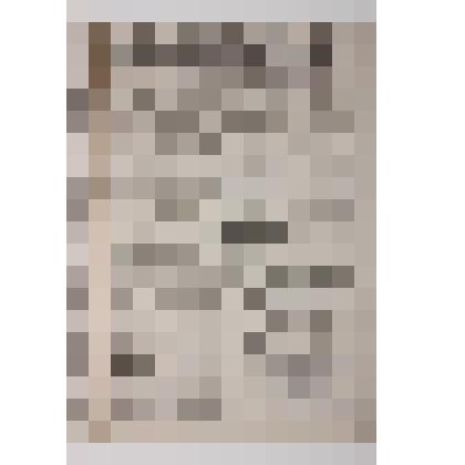 Газета «Сарапульский листок объявлений» №53 за  01.11.1901 г