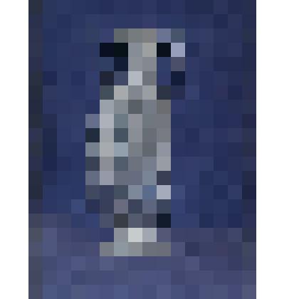 Стужа (декоративная композиция)