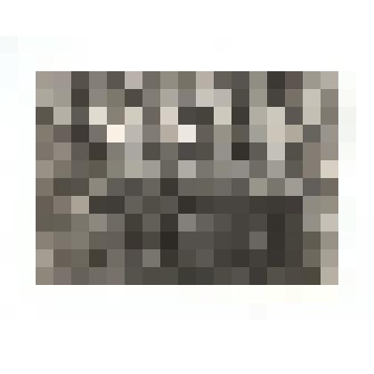 Фото/чб. Экипаж дальнего бомбардирования ИЛ-4 в день Победы: стрелок Шуляков, командир Новожилов Н.В., штурман Зуенко И.С., Техник - Ефимов. д. Кшевица, Польша. 1945