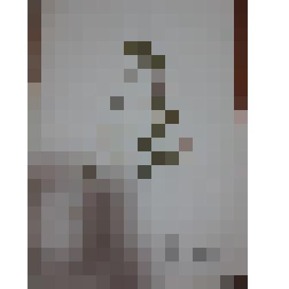 Гербарий. Клевер белый