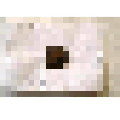 Монета 2 копейки