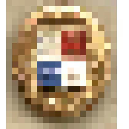 Значок нагрудный с изображением герба г.Таганрога. Серия "Гербы городов РСФСР". Из коллекции по теме "Геральдика"