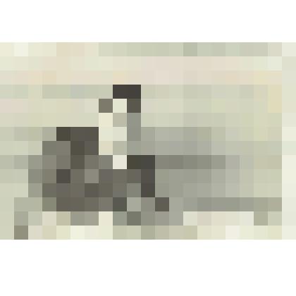 Фото: Жухевича А.А., (сидит за столом с авторучкой в руке)