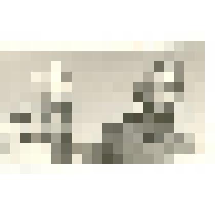 Фотография: девушки-механизаторы, окончившие Каменское СПТУ-19, Железнова Н. и Пономарева Н