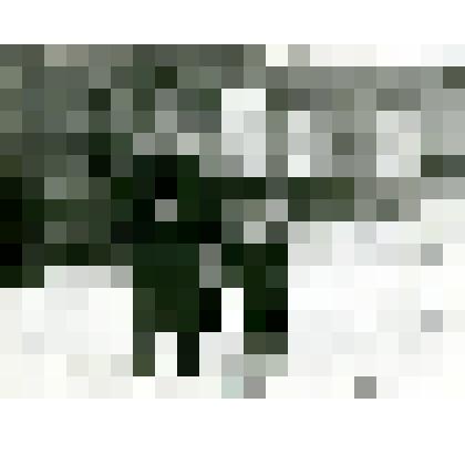 Фотография. Ледяные окна. Учительница М.Н. Кокшарская с сыном