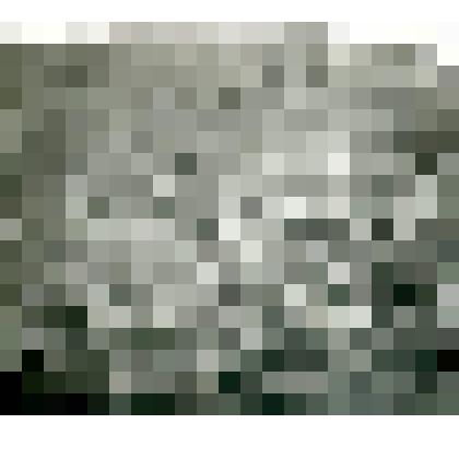 Фотография. Стланиковая гарь на гольце вблизи р. Калымкан, напротив р. Ульи