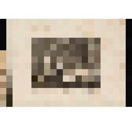 Ссора с покровителем. Лист II из серии "Карьера шлюхи". 1732, из альбома «The Works of William Hogarth»