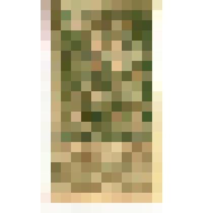 Марки почтовые. Марка почтовая. 75 коп. (темно-зеленый). "Гербовая марка"  по центру герб с изображением Георгия Победоносца 