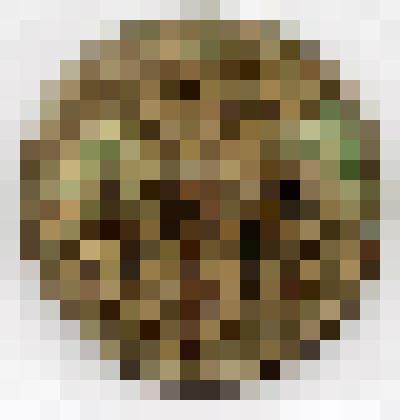 Монета. Российская империя