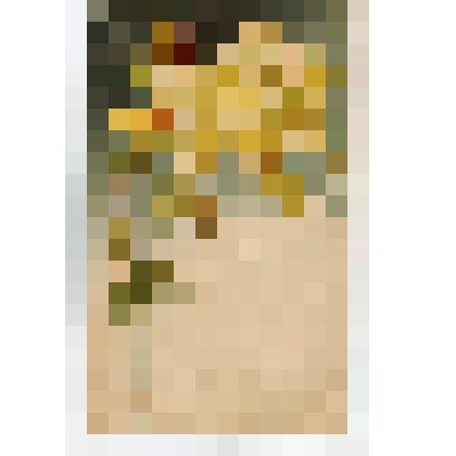 Открытое письмо  «Rosenpracht»