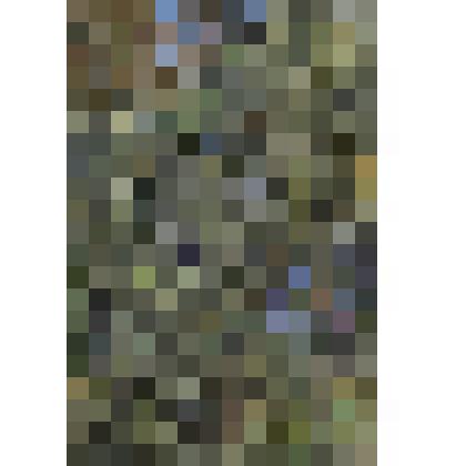 Картина. Лесные цветы