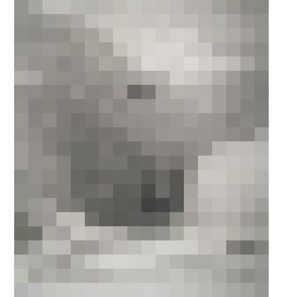 Ведомый орлом. Наполеон с проводником, переезжающий через Сен - Бернар