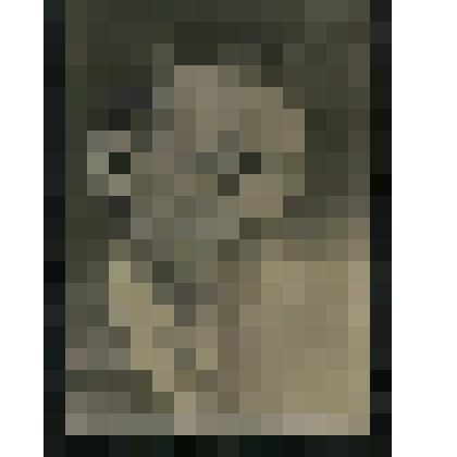 Фотопортрет ч/б Фурдуева В.В. 3/4 влево