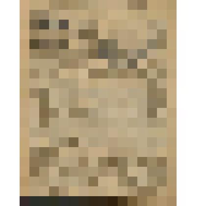 Газета. "Красный кавалерист" № 52