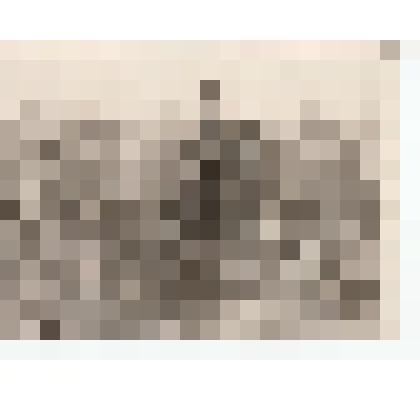 Ф/чб. Работник колхоза в Романовском р-не Саратовской области осматривает урожай кукурузы (верхом на коне). 1958 г