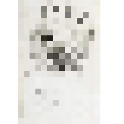 Голова девочки. Набросок к картине "Святая Русь" (1901-1906. ГРМ)