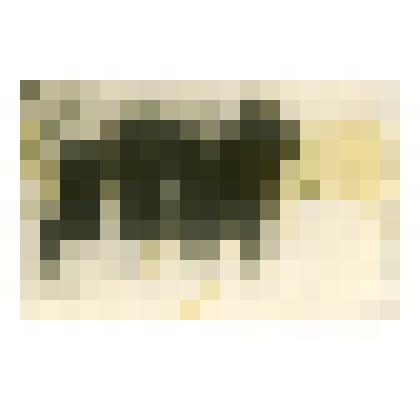 Фотография черно - белая групповая. Артемьева А.И. среди подруг