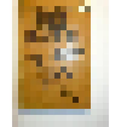 Книга "Голос солдата" Владимир Даненбург