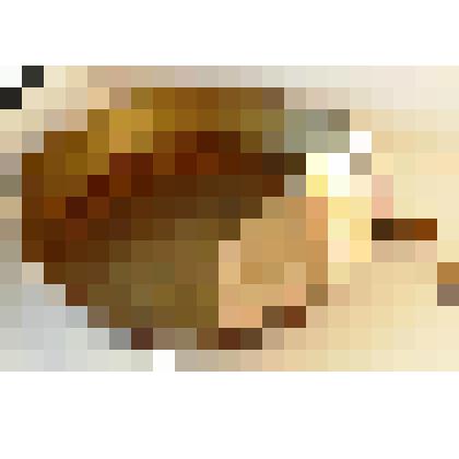 Таз для варки варенья