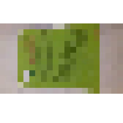 Материалы-история создания домов,мечетей,автобиографии религиозных деятелей Баймакского района(Гадельбаево)