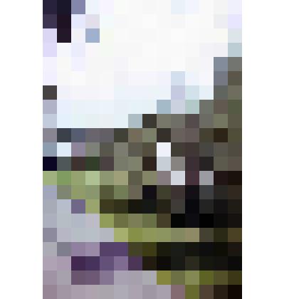 Диапозитив. Рубеж обороны. (179)