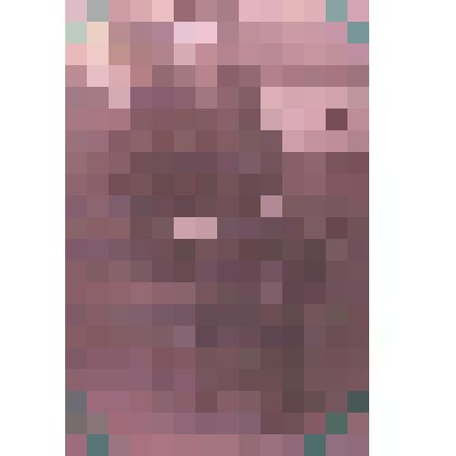 Фотография М.И. Шестакова