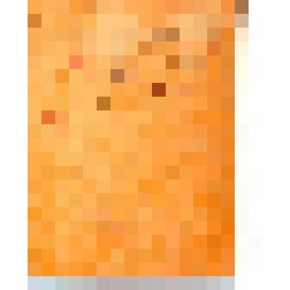 Фотография Яскеляйнен И. А. с велосипедом