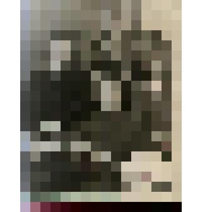 Фотография групповая. Костылева Пелагея Даниловна в ШРМ среди одноклассников