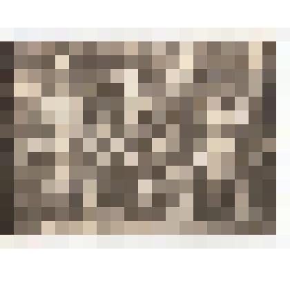 Ф/чб. Бойцы 148-й стрелковой дивизии. Красноармеец Гельфанд Геннадий Исаакович. Ст/сержант, фотограф политотдела Бывалин Виталий Аврамович и Гельфанд Г.И. д. Успенка Ливенский р-н. 10.9.1942